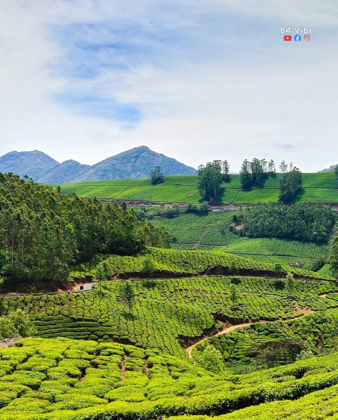 Kannan Deavan Hills Munnar, Kerala.jpg